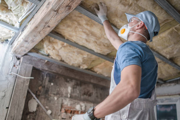 Best Types of Insulation in Neenah, WI